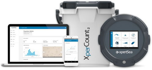 物聯互聯，智能養殖 網絡技術如何重塑現代水產養殖業