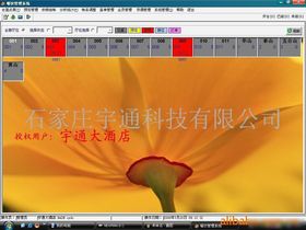 網(wǎng)絡(luò)技術(shù)開(kāi)發(fā) 連接未來(lái)的數(shù)字脈絡(luò)